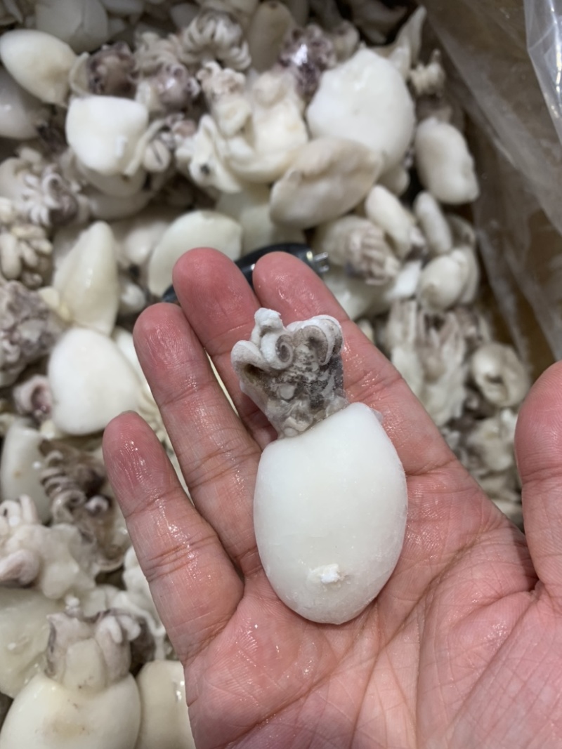 北海一厂家直销次品墨鱼仔、次墨丁，货源充足，量大价优