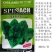 欧兰德菠菜种子皇家黑将军耐寒耐热杂交菠菜品种农家秋季播蔬