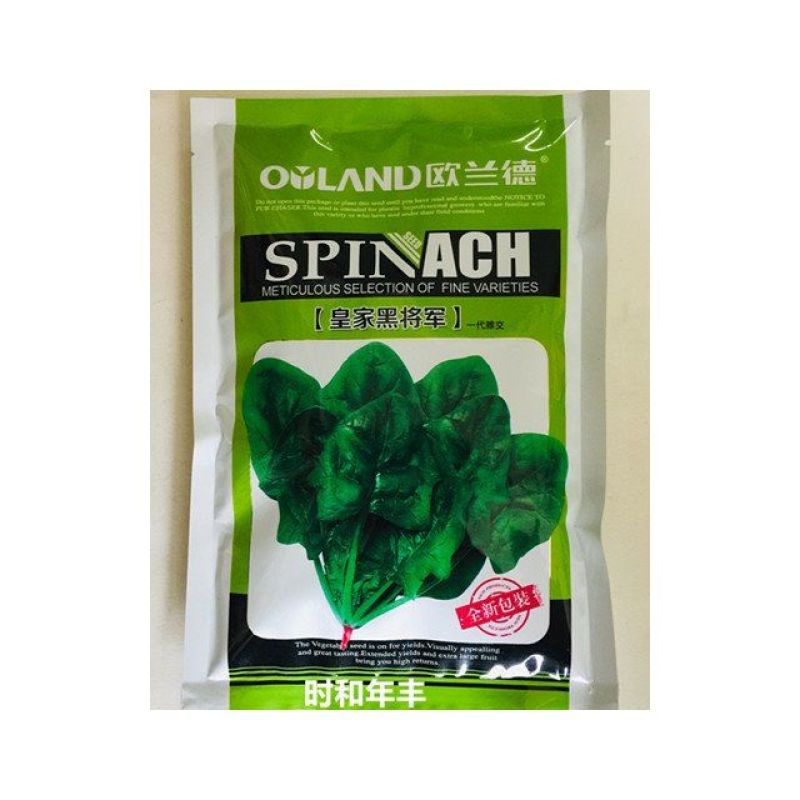欧兰德菠菜种子皇家黑将军耐寒耐热杂交菠菜品种农家秋季播蔬