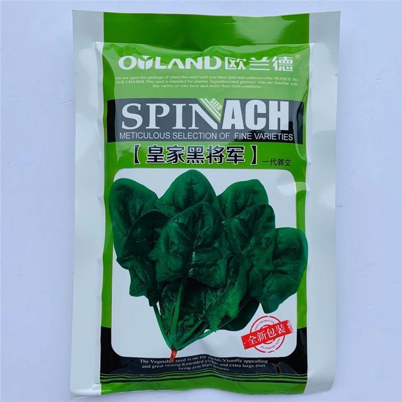 欧兰德菠菜种子皇家黑将军耐寒耐热杂交菠菜品种农家秋季播蔬