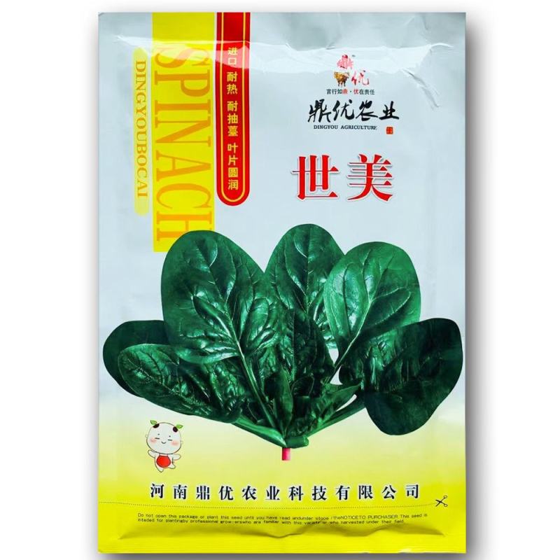 世美菠菜种子中熟圆叶抗霜霉病耐热抗寒耐抽苔大叶菠菜种籽蔬