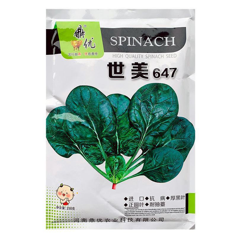 鼎优世美647进口菠菜种子抗热抗寒抗病晚抽苔圆叶菠菜种籽