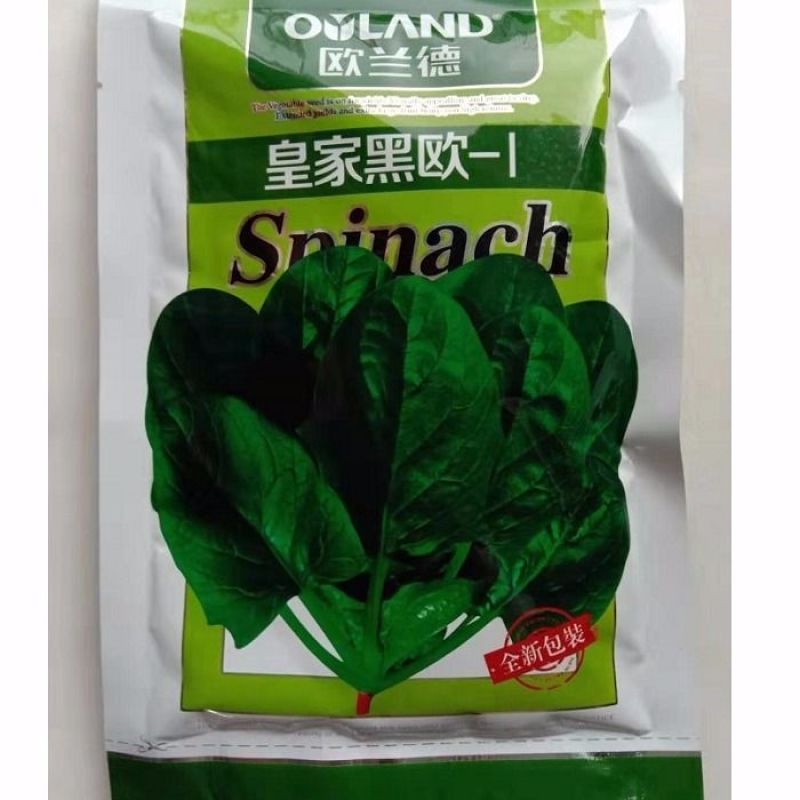 菠菜种子欧兰德皇家黑欧一1菠菜种子优质高产菠菜种子早熟菠