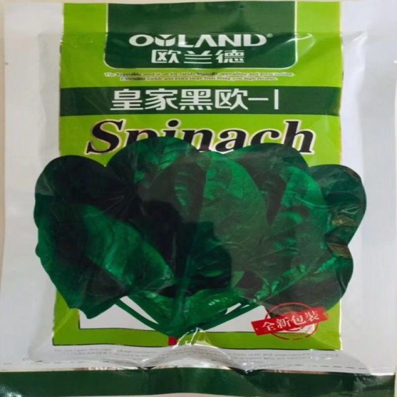 菠菜种子欧兰德皇家黑欧一1菠菜种子优质高产菠菜种子早熟菠