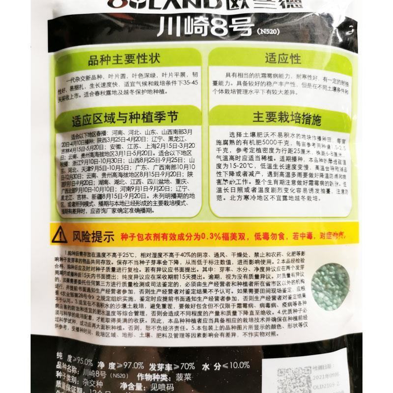 川崎8号圆叶菠菜种子一代杂交趴地菠菜种子四季蔬菜种子