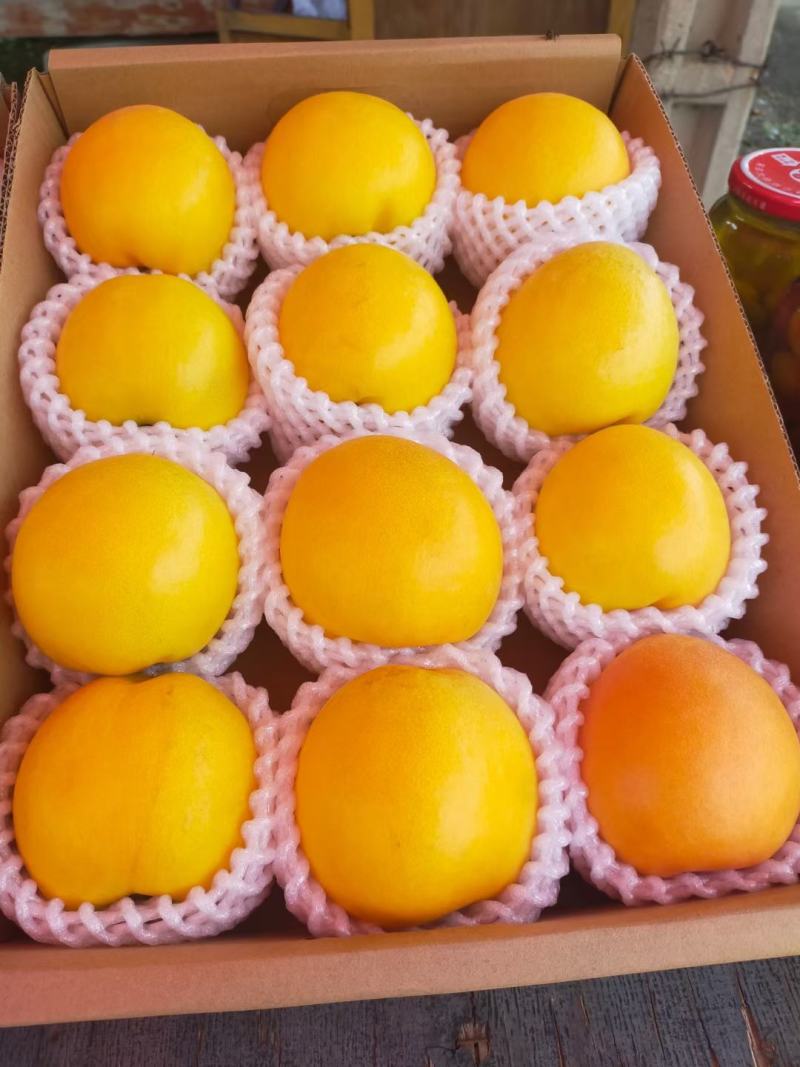 平谷澳油桃，桃味浓，美妙的口味，好吃好甜