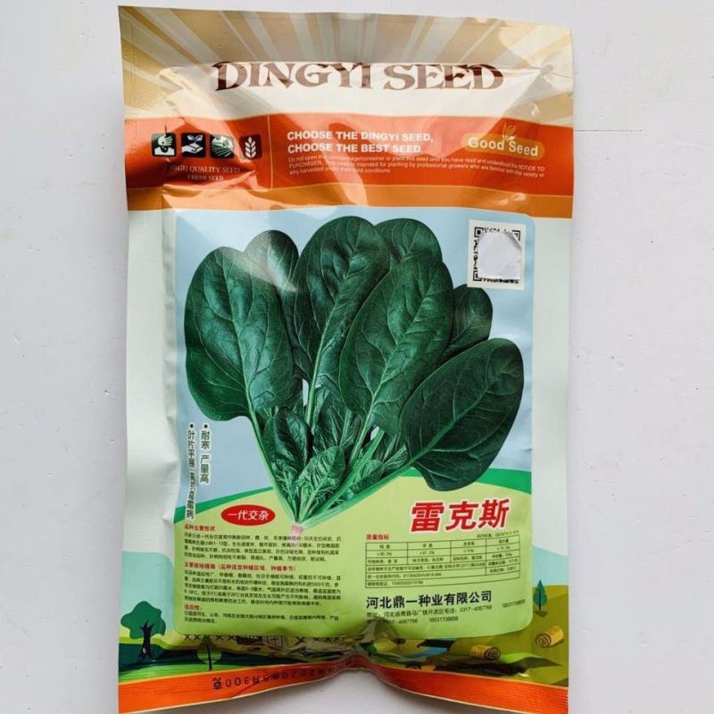 雷克斯春秋冬种植椭圆叶菠菜种子丹麦引进一代杂交菠菜种子