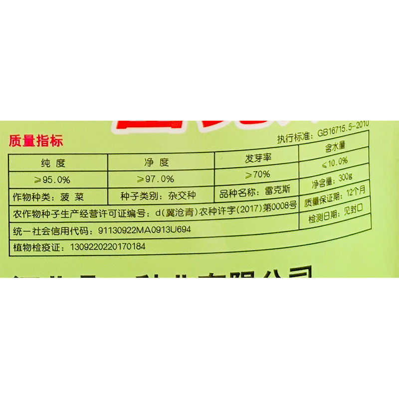 雷克斯春秋冬种植椭圆叶菠菜种子丹麦引进一代杂交菠菜种子