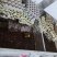 陕西蝎子野外无饲养不喂食。全活。干净无杂质