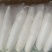 精品四排包，三排包，白萝卜，散装打冷白萝卜