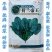 菠菜种子荷兰帝王菠菜种子中熟菠菜种子叶片较大叶色深绿菠菜