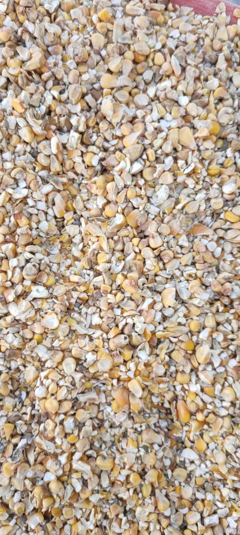 碎玉米小麦豆粕出售各种碎料几个毛粮的都有