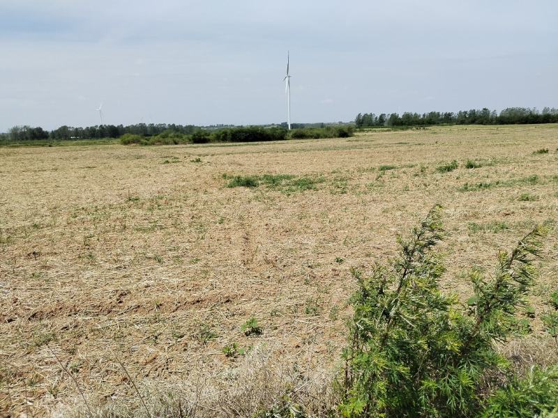 3000亩优质旱地，水电路三通，适合种植瓜果等经济作物