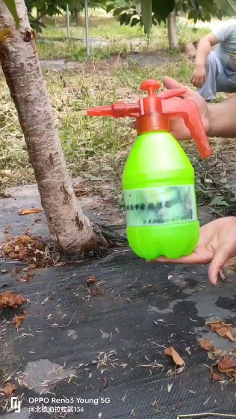 防治天牛幼虫专用喷壶自垂式软吸管厂家直销全国发货