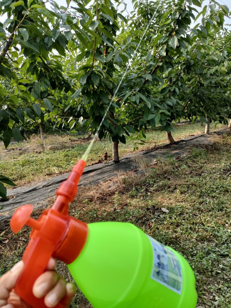 防治天牛幼虫专用喷壶自垂式软吸管厂家直销全国发货