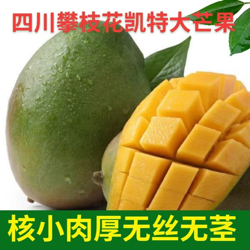 四川攀枝花凯特大芒果，电商一件代发，市场超市供应