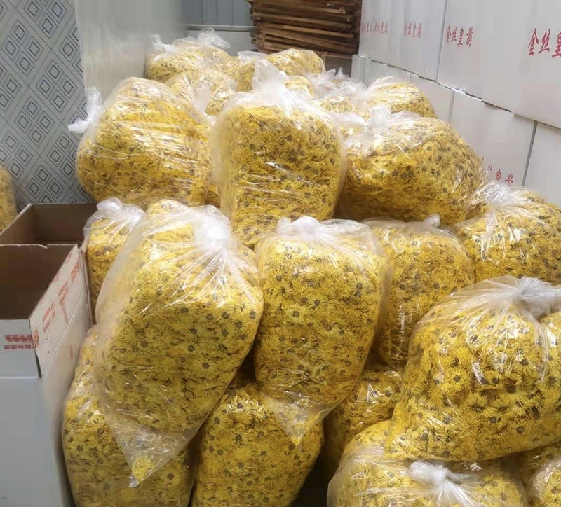 金丝皇菊花茶一朵一杯特级大朵泡开10厘米以上支持线上交易