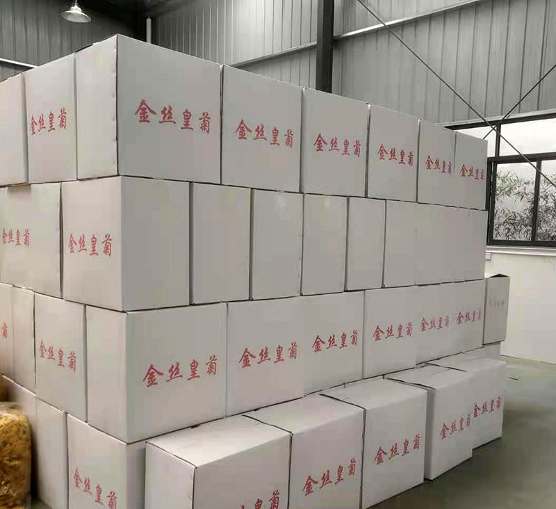 金丝皇菊花茶一朵一杯特级大朵泡开10厘米以上支持线上交易