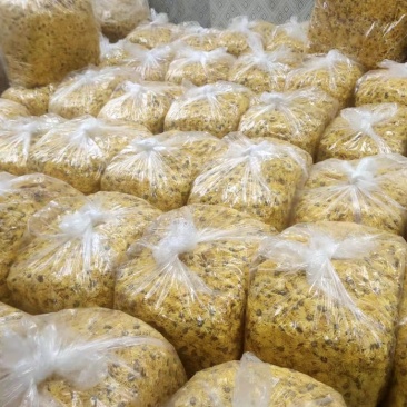 金丝皇菊花茶一朵一杯特级大朵泡开10厘米以上支持线上交易