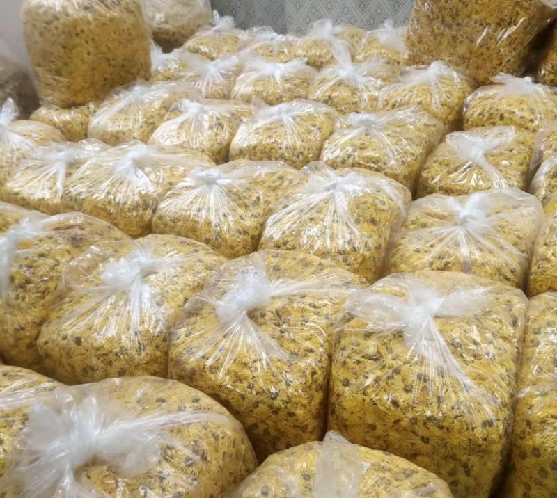 金丝皇菊花茶一朵一杯特级大朵泡开10厘米以上支持线上交易