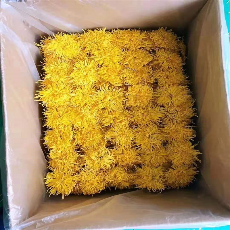 金丝皇菊花茶一朵一杯特级大朵泡开10厘米以上支持线上交易