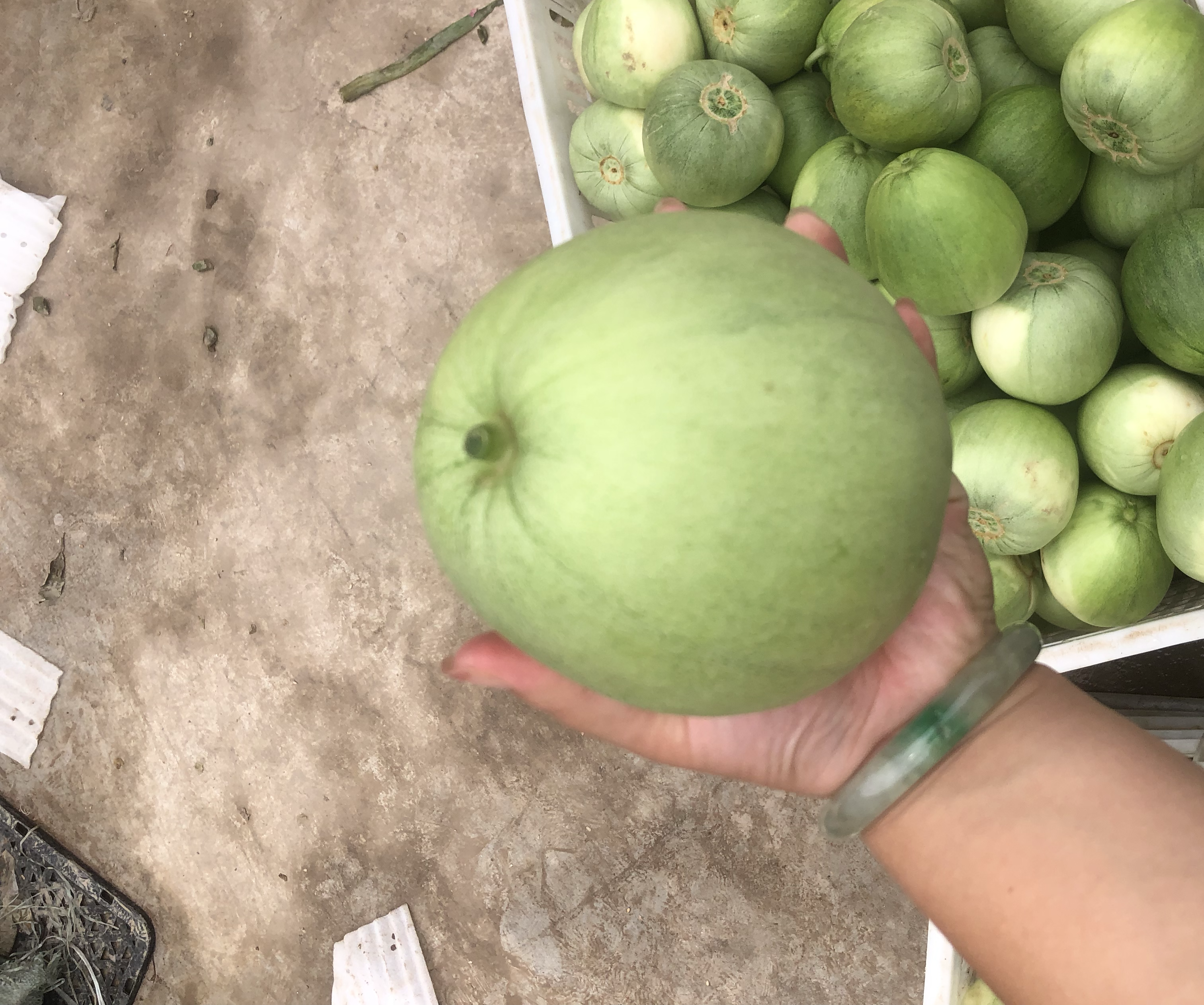 甜瓜与桃子糖分构成柱状图