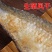 胖子海味三刨霉鳓鱼宁波特产咸香白磷鱼臭香力鱼梅香鱼咸鱼