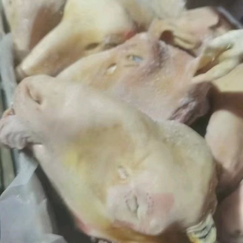 火烧羊头