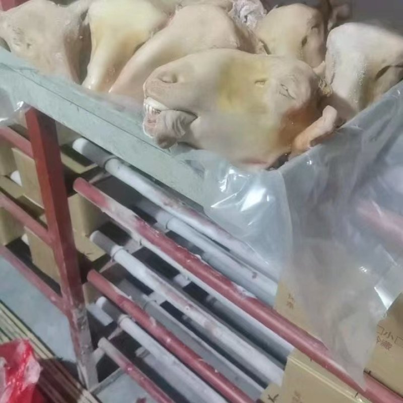 火烧羊头