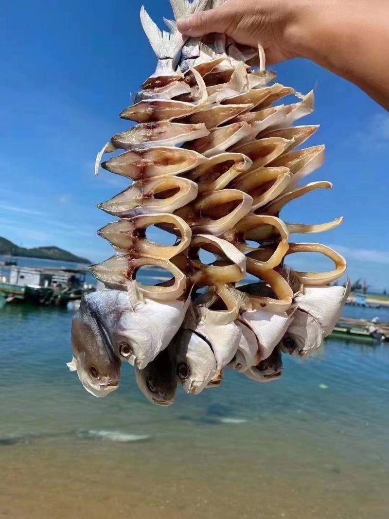 金鲳鱼
