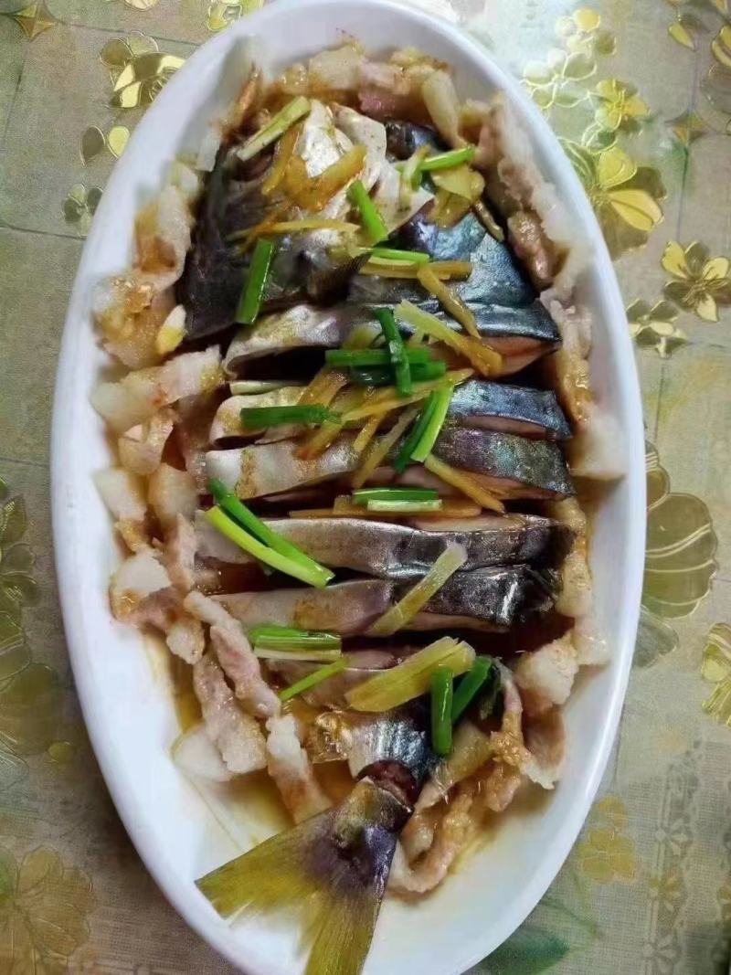 金鲳鱼