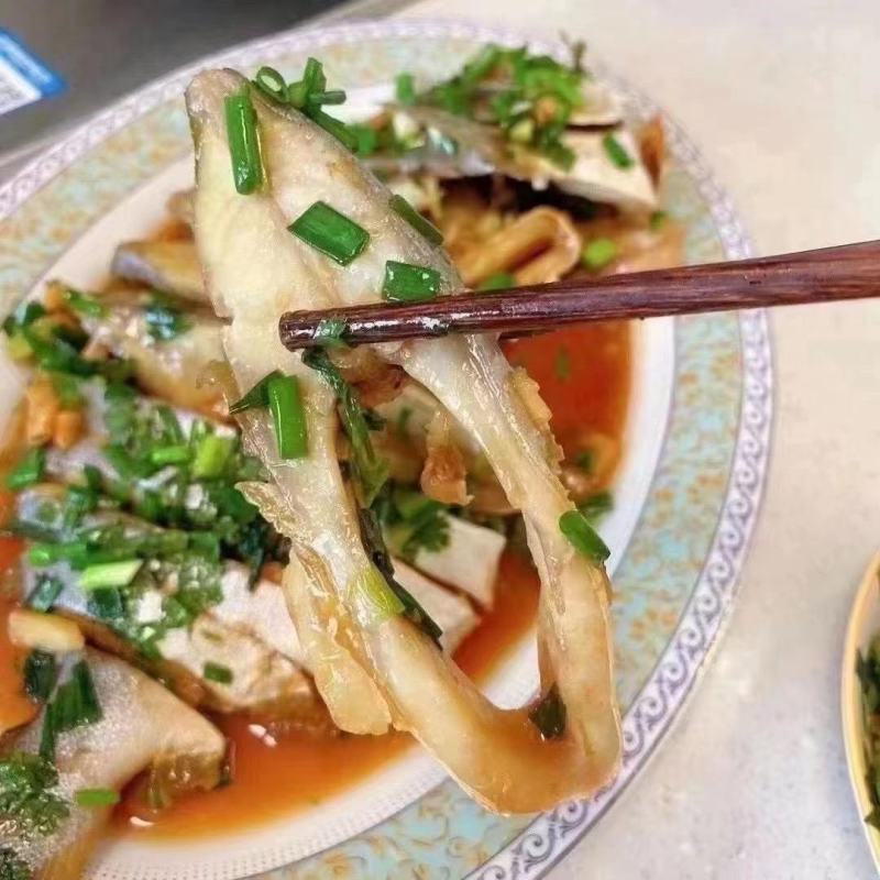 金鲳鱼