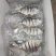 金鲳鱼