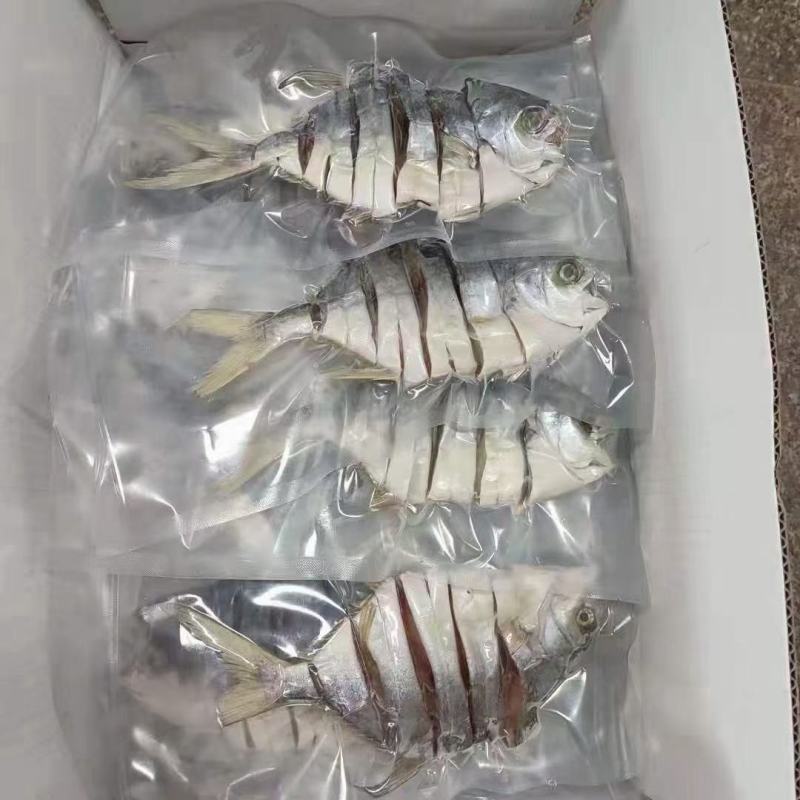 金鲳鱼