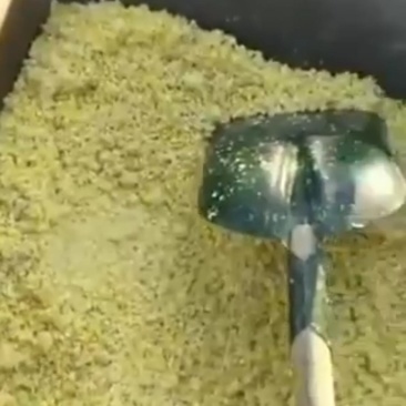 新鲜玉米渣