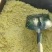 新鲜玉米渣