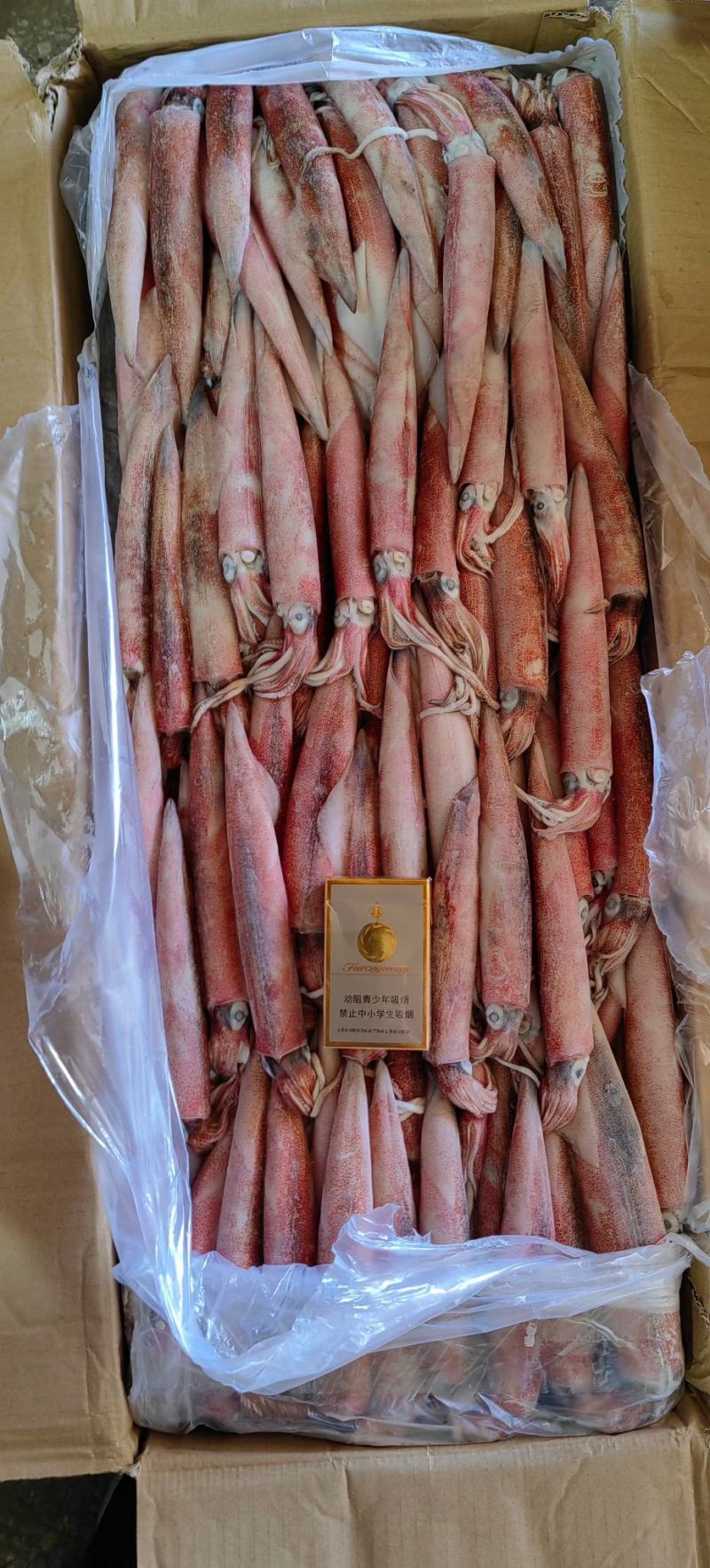 小火箭鱿鱼辣椒鱿鱼龙筒仔25gg鱿笔管鱼