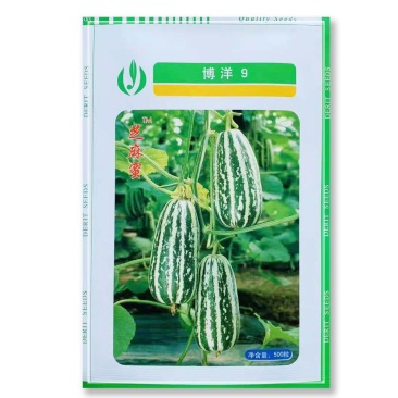 天津德瑞特博洋9博洋61博洋91甜瓜羊角蜜种子