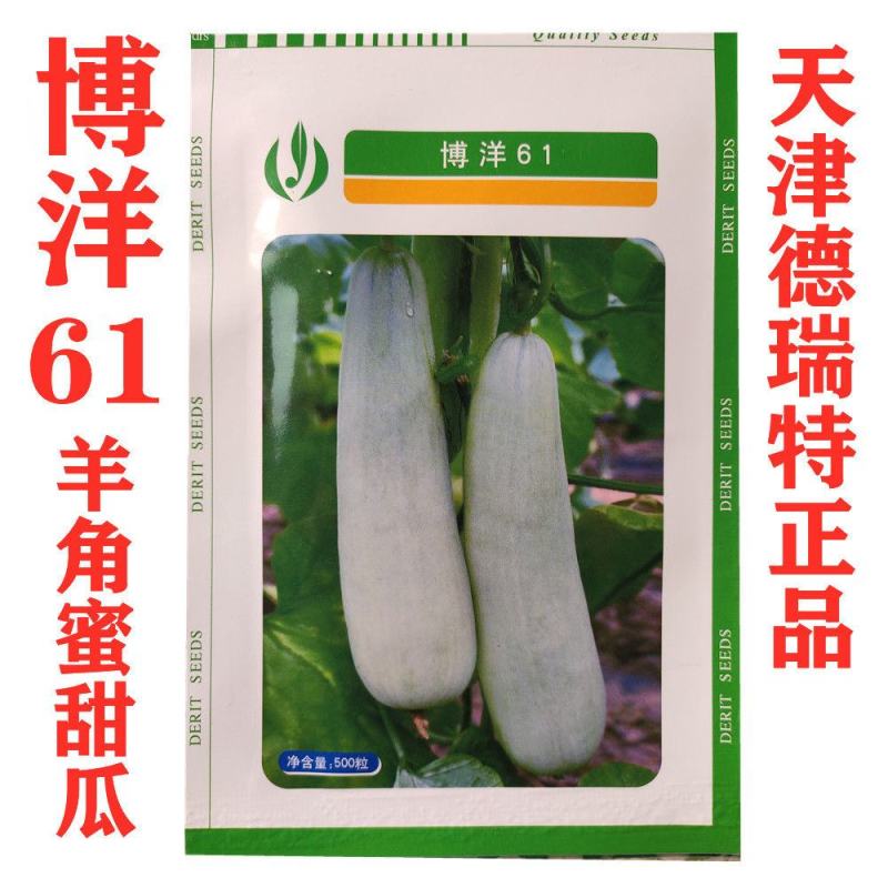 天津德瑞特博洋9博洋61博洋91甜瓜羊角蜜种子