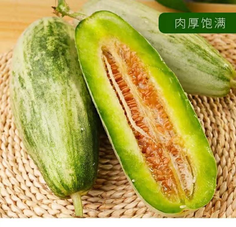 天津德瑞特博洋9博洋61博洋91甜瓜羊角蜜种子