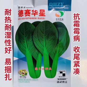 抗病高温不拔节易捆扎青梗菜种子德赛华星油亮青梗菜鸡毛菜