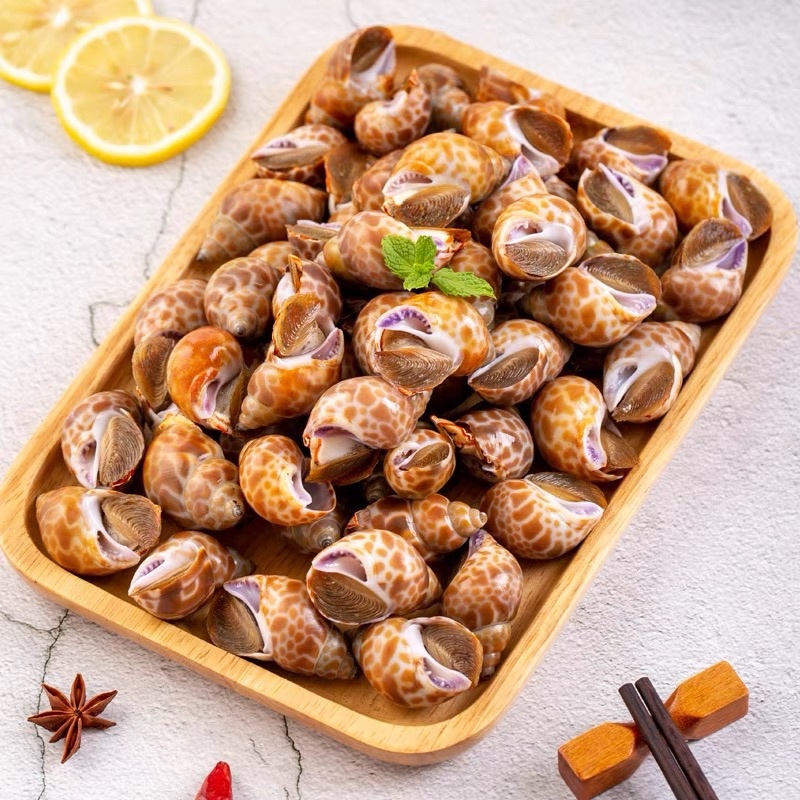 花螺东风螺田螺特大号中号海鲜水产贝类活冻鲜冻冷冻海鲜