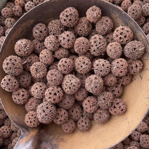 中药材：路路通、枫实、枫果、枫木上球、枫香果、九孔子