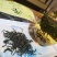 益鸿禧蒲公英茶水洗干净婆婆丁基地种植嫩叶炒制