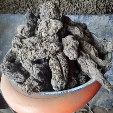 生地河南焦作怀地黄甄选怀庆府中草药地黄豫怀山药材行生地黄