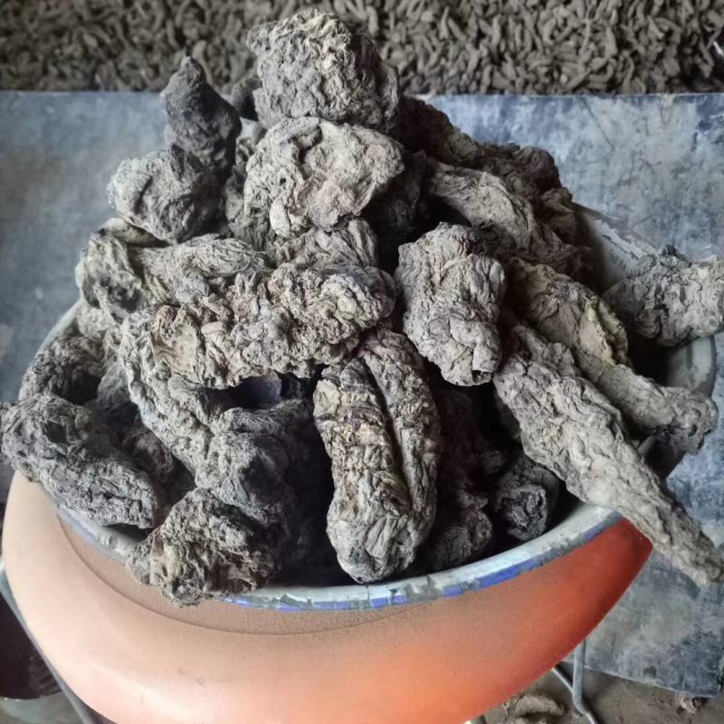 生地河南焦作怀地黄甄选怀庆府中草药地黄豫怀山药材行生地黄