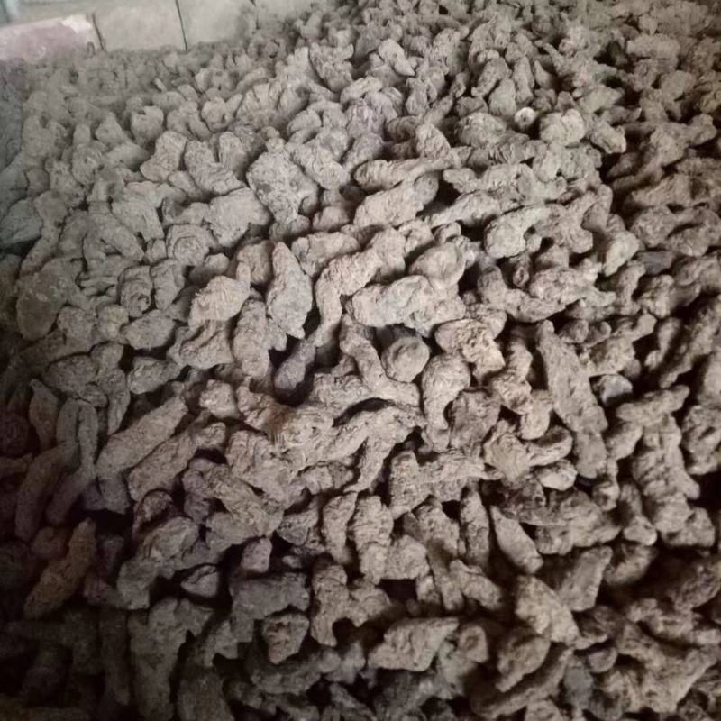 生地河南焦作怀地黄甄选怀庆府中草药地黄豫怀山药材行生地黄