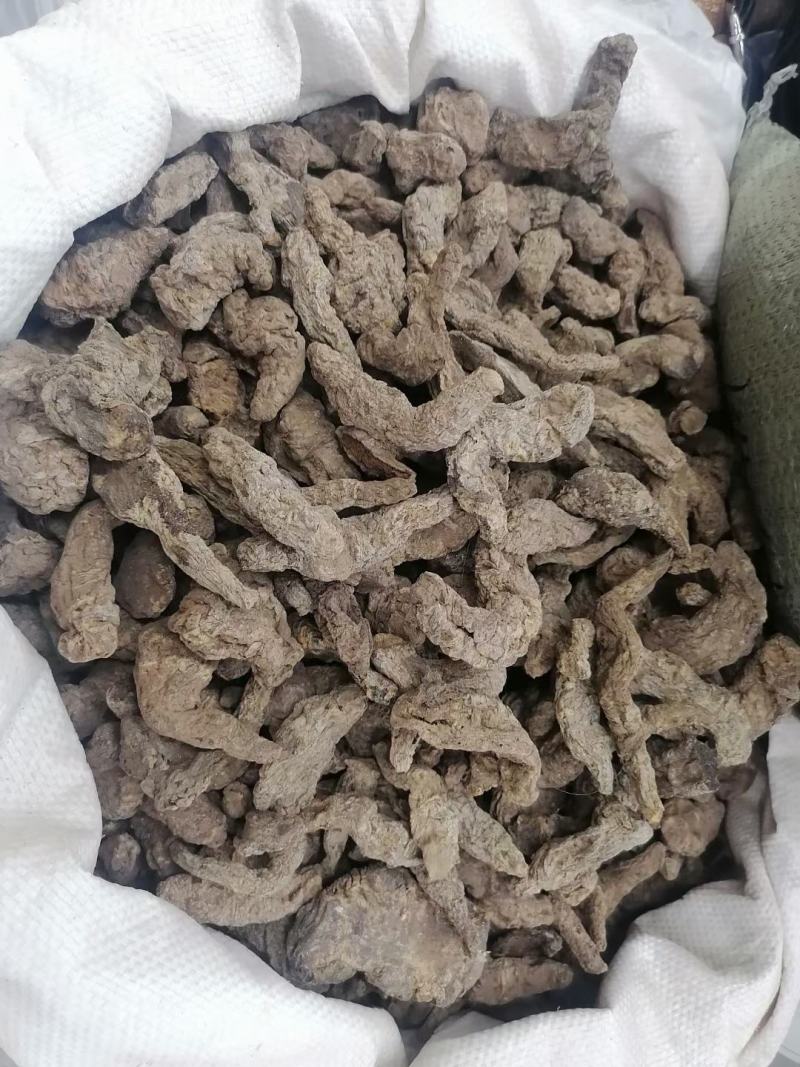 生地河南焦作怀地黄甄选怀庆府中草药地黄豫怀山药材行生地黄