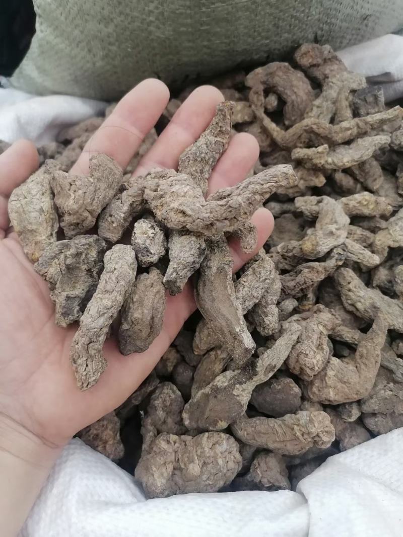 生地河南焦作怀地黄甄选怀庆府中草药地黄豫怀山药材行生地黄
