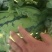 找好瓜，找小王价格还便宜，东西又好。